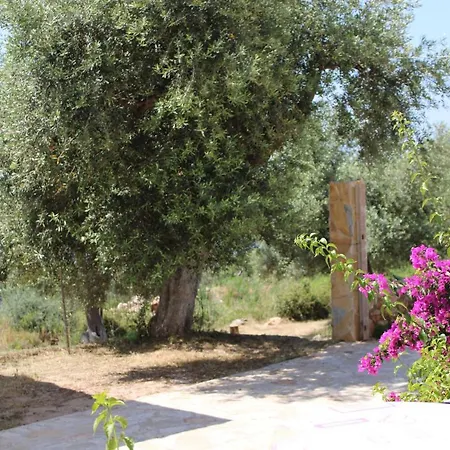 Guest house Penelope 2